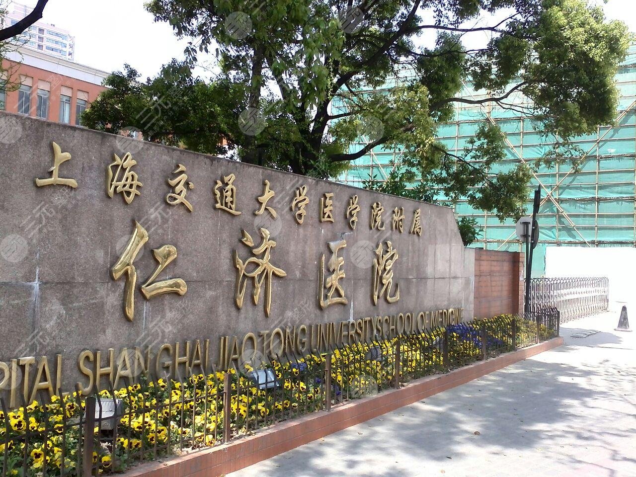 上海前10*医院排名