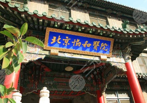 北京协和医院整形科