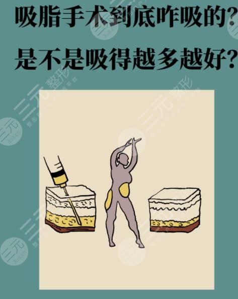 吸脂果