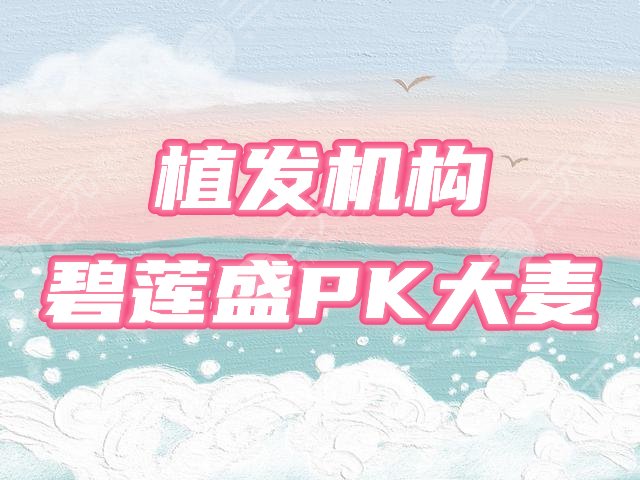 碧莲盛和大麦哪个好