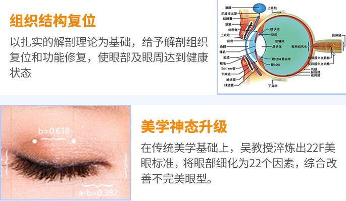 上海联合丽格杜园园医生科普眼修复知识