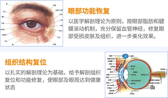 上海联合丽格杜园园医生科普眼修复知识