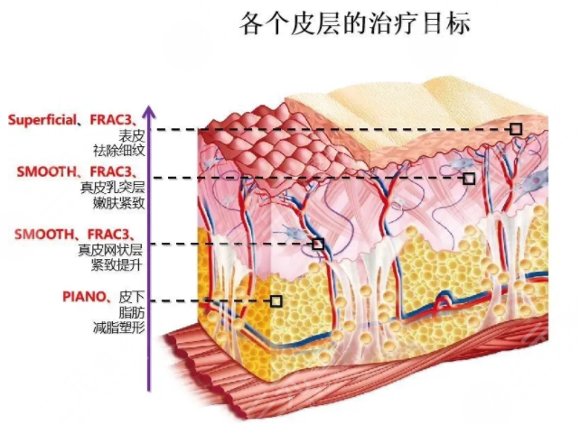 欧洲之星