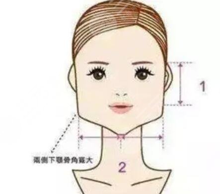 医院擅长项目