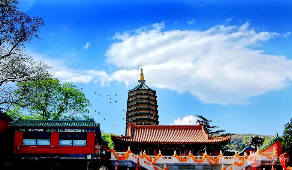 整形外科排名医院