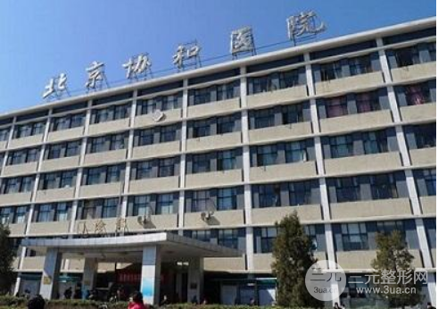 整形外科排名医院