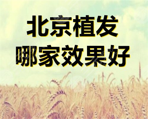 北京植发哪家效果好