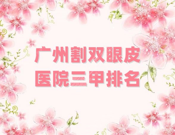 广州割双眼皮医院三甲排名