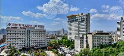 昆明医科大学第一附属医院(云大医院)整形外科