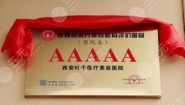 西安叶子医疗美容医院特色项目