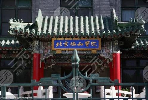 北京协和医院
