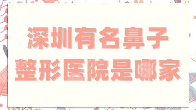深圳有名鼻子整形医院是哪家