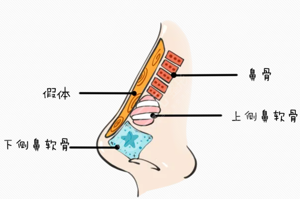 北京新星靓开展项目介绍