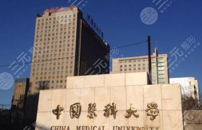 中国医科大学附属第一医院