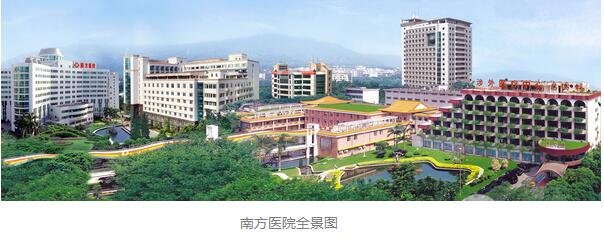 南方医院科室概况