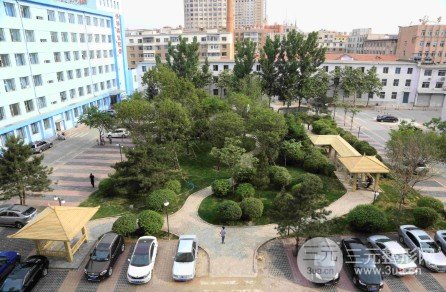 长春正规植发医院排行