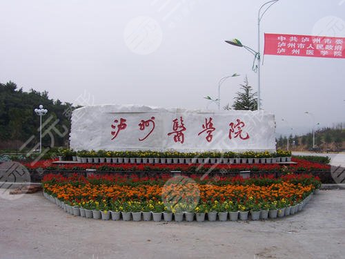 泸州医学院整形科怎么样