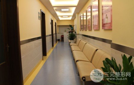 上海植发去哪个医院