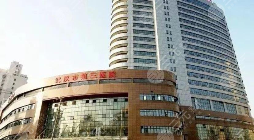 武汉市第三医院4
