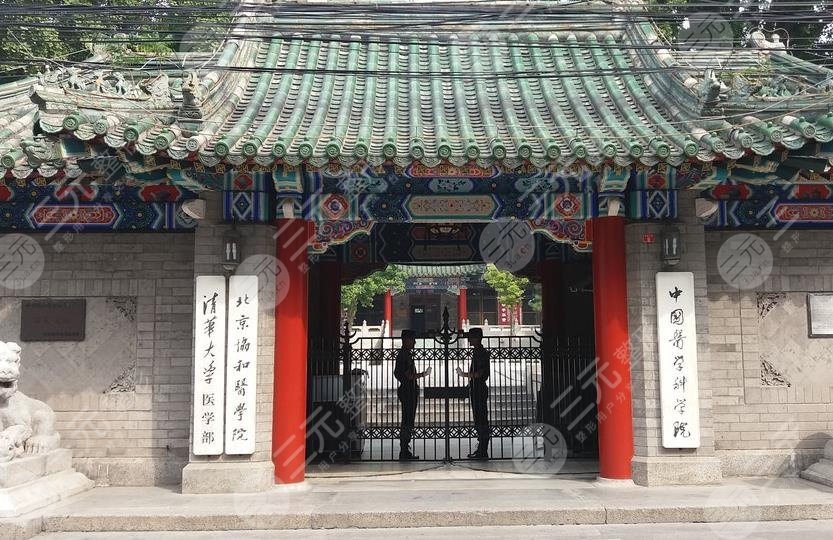 北京协和医院环境图