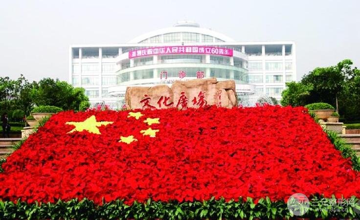 重庆西南医院美容整形科介绍
