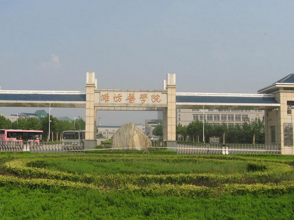 【潍坊医学院整形外科医院价格表粗来辣】