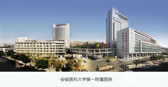 安医一附院整形外科概况