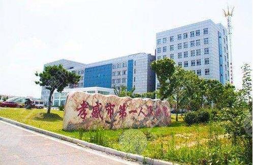 孝感正规植发医院排名