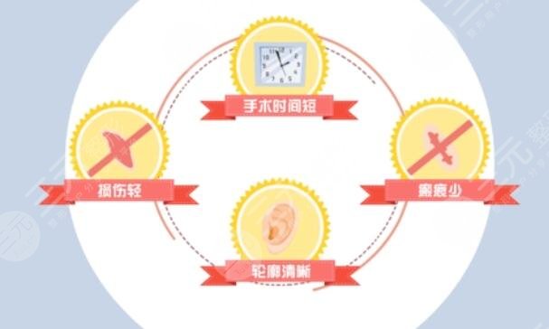耳再造项目特色技术