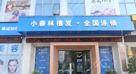 北京小森林植发怎么样