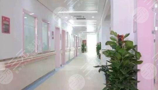 南方医科大学整形外科怎么样