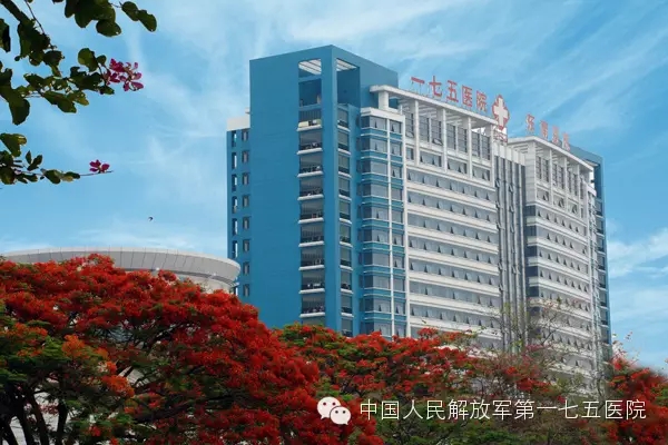 【解放军第175医院烧伤整形科价格表】