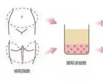 八大处医疗整形医院怎么样