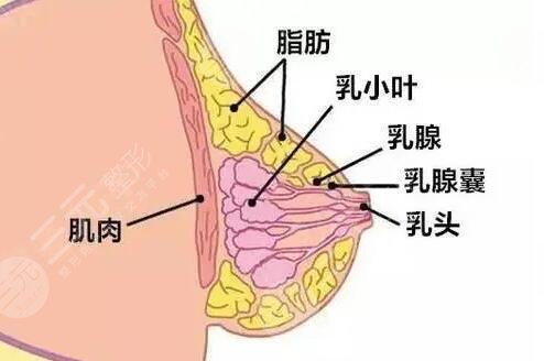 上海九院整形科隆胸案例：
