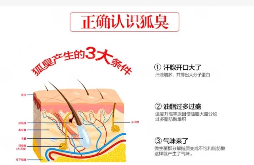 体臭和狐臭的区别是什么呢？一招教你如何避免夏季尴尬！