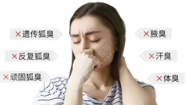 体臭和狐臭的区别是什么呢？一招教你如何避免夏季尴尬！