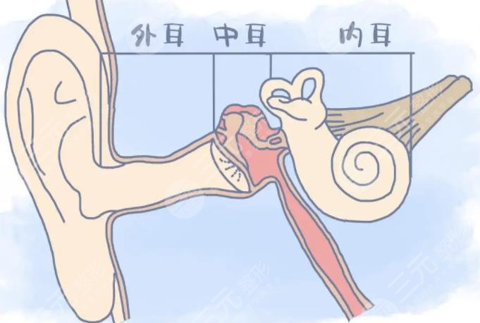 耳畸形再造手术医保能报销吗？手术大概需要多少钱？需要掏空钱包来做吗？