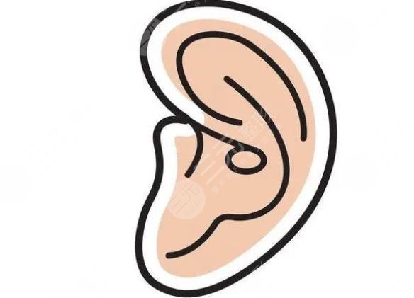 耳畸形再造手术