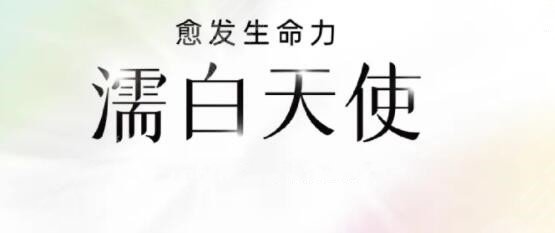濡白天使和爱贝芙哪个更好?