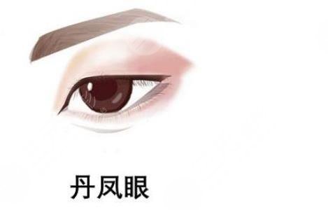 丹凤眼和狐狸眼对照图