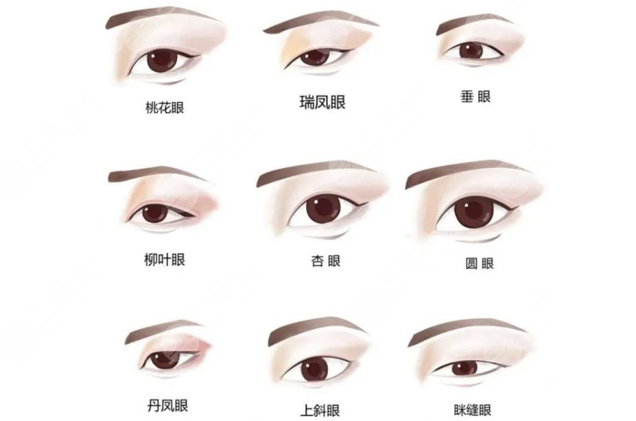 丹凤眼和狐狸眼哪种更好看?