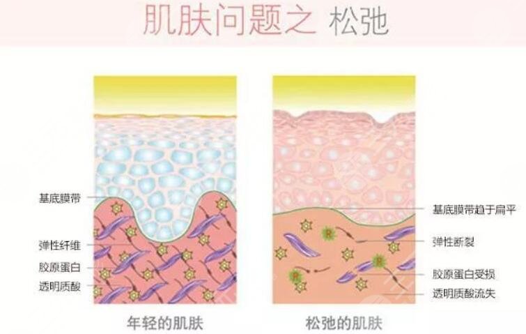 维持时效不同