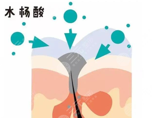 水杨酸的作用和危害