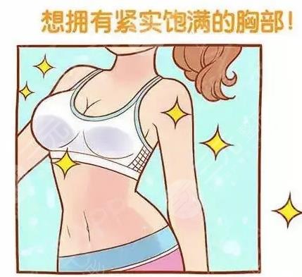 吃什么食物丰胸快