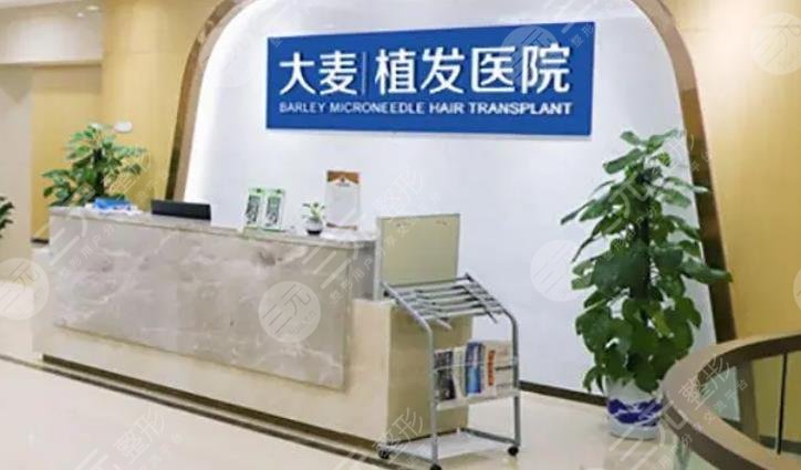 西安大麦微针植发