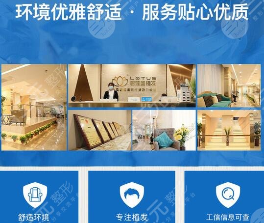 合肥碧莲盛