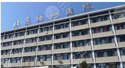 协和医院