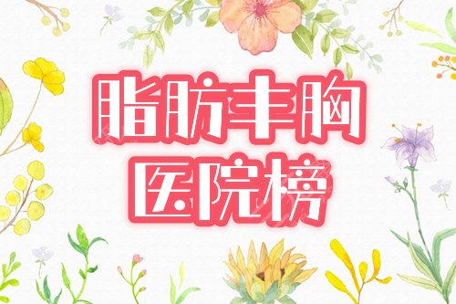 自体脂肪丰胸医院