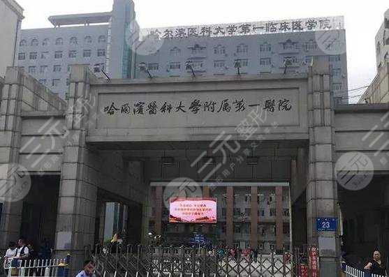 哈尔滨医科大学附属第一医院
