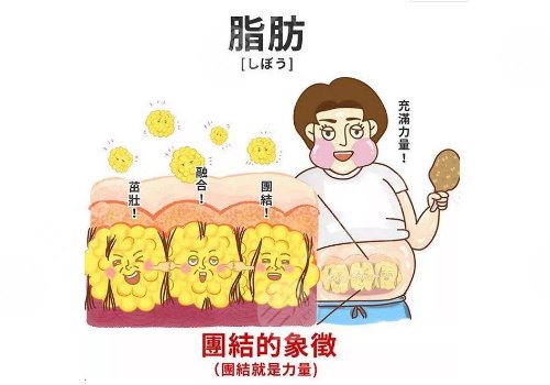 自体脂肪填充面部果怎么样?
